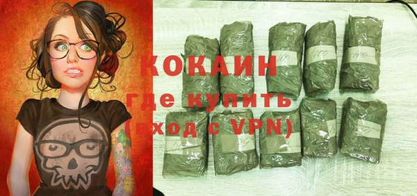 стафф Сясьстрой