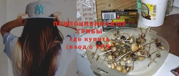 молекула духа Баксан