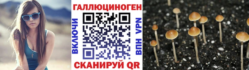 гидра как зайти  мориарти формула  Псилоцибиновые грибы мицелий  Липки 